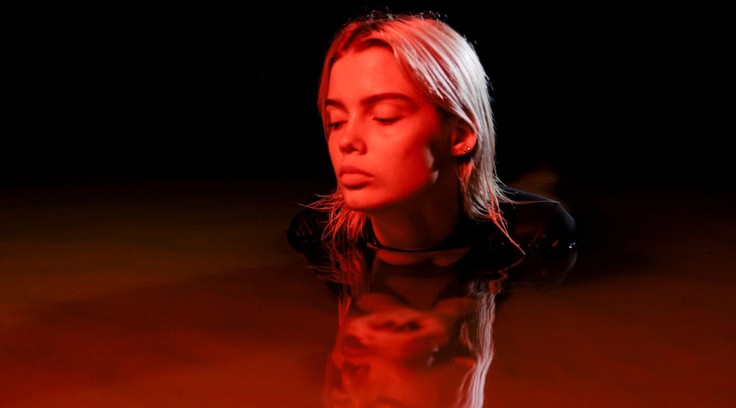 Rouges vifs stock videos