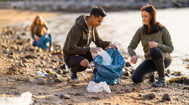 Environment stock videos