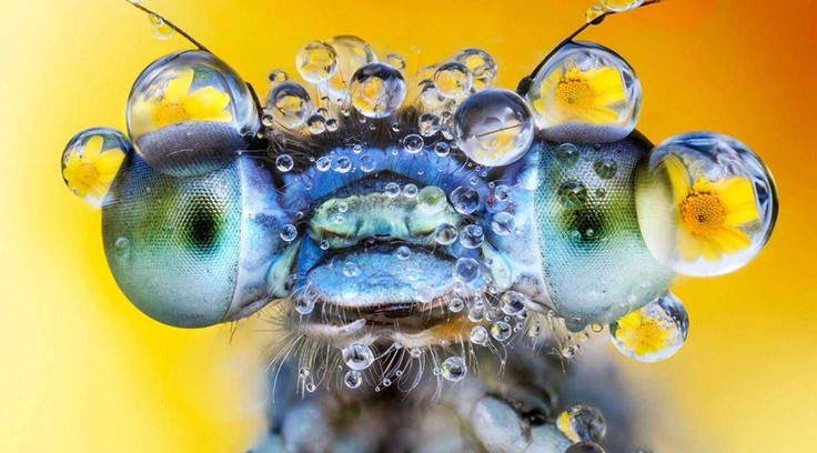 Surreal Nature stock videos