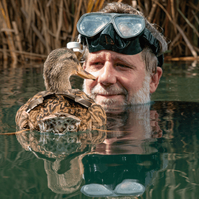 Spotlight round image